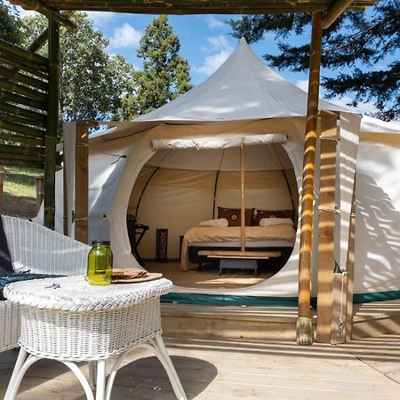 Kerikeri Glamping Hotel Exterior photo
