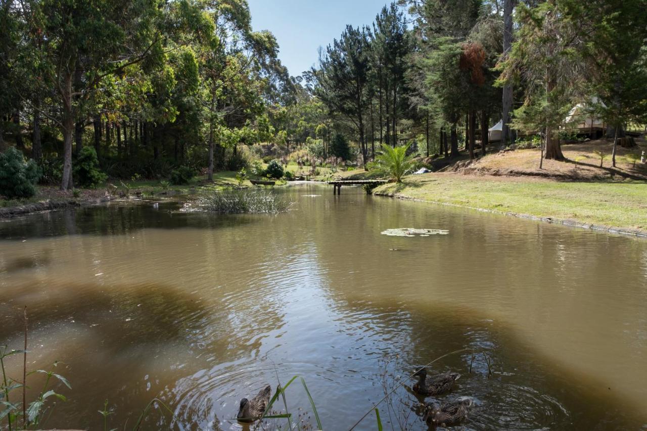 Kerikeri Glamping Hotel Exterior photo