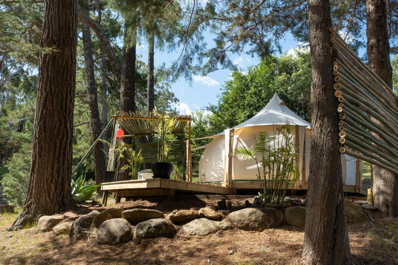 Kerikeri Glamping Hotel Exterior photo