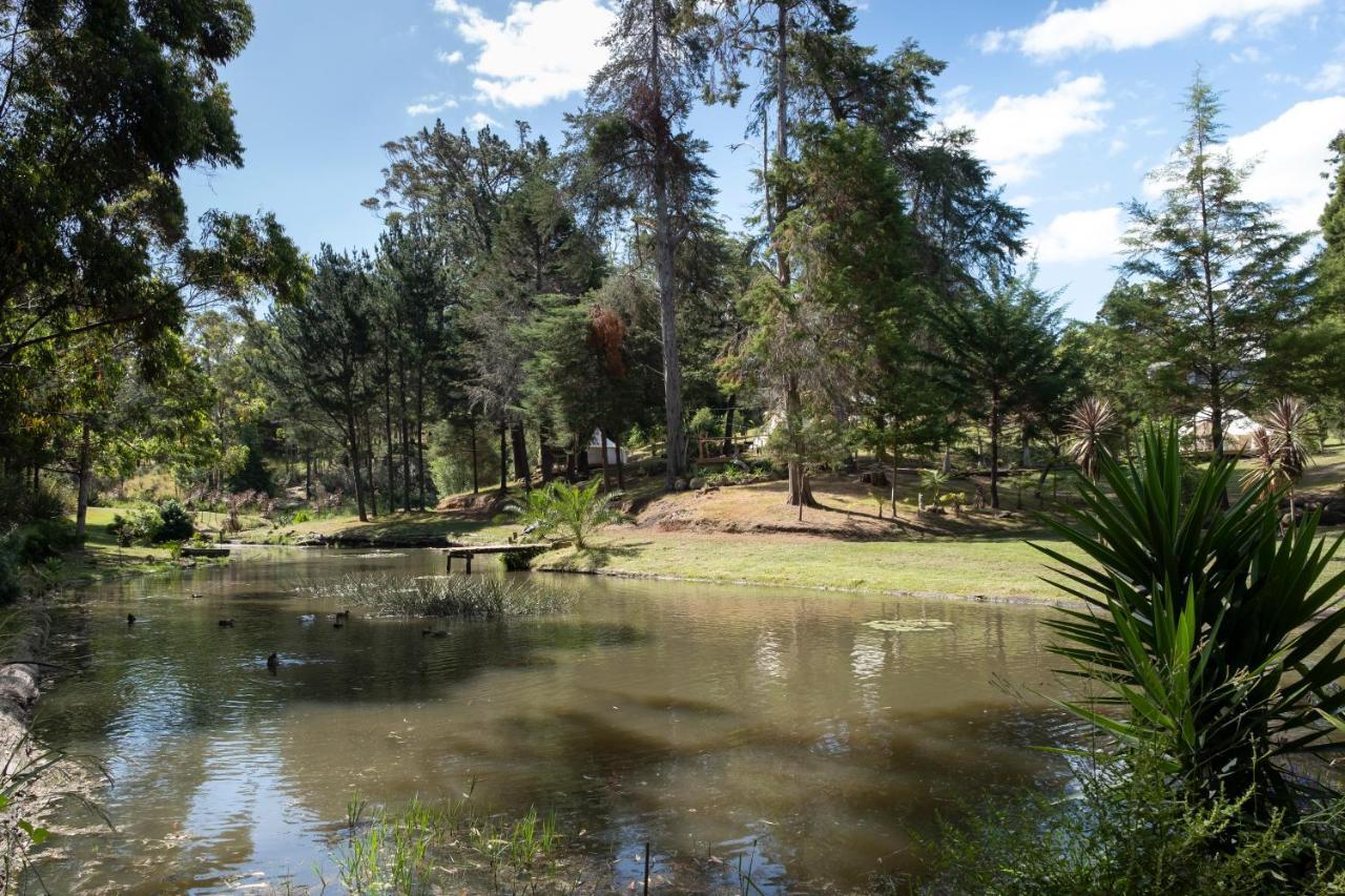 Kerikeri Glamping Hotel Exterior photo